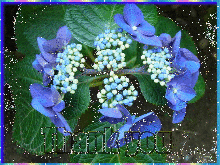b0133752_2321084.gif