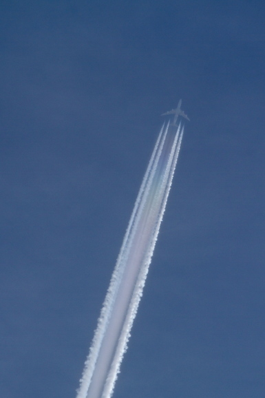a0226258_09502285.jpg