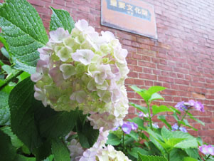 c0084862_534515.jpg