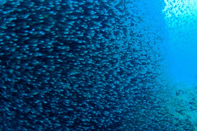 b0062363_80475.jpg