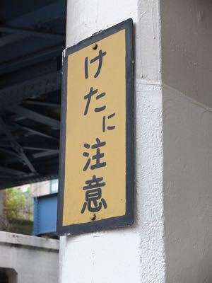 f0096666_12145688.jpg