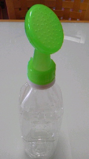 a0159974_9421459.jpg