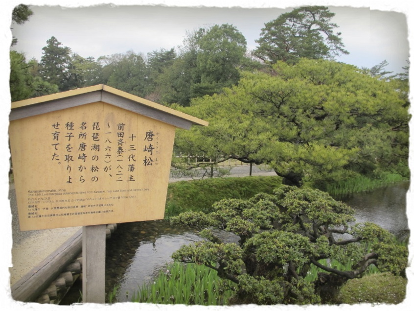c0345081_2223194.jpg