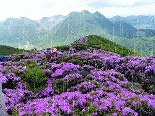 f0357487_13212100.gif