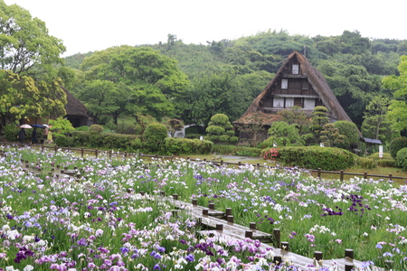 b0062793_8483227.jpg