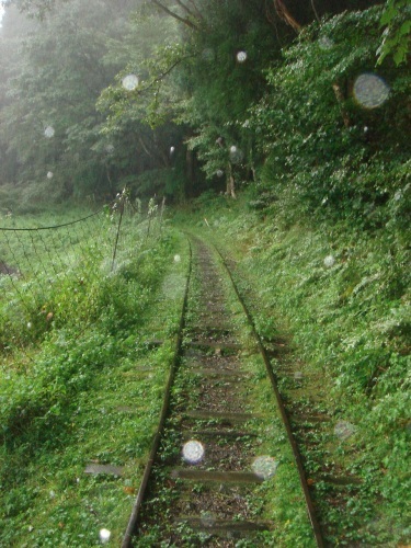 a0193496_10131860.jpg