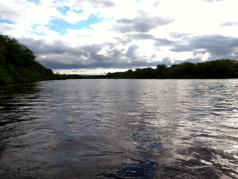 d0156298_0566.jpg
