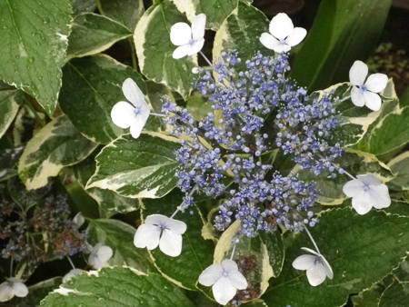 f0239100_2017472.jpg