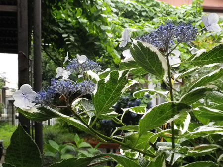 f0239100_20245797.jpg