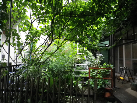 f0239100_20282556.jpg