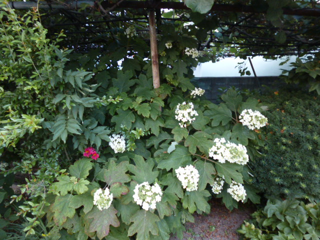 b0035611_19293564.jpg