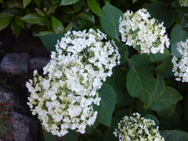 b0035611_1929519.jpg