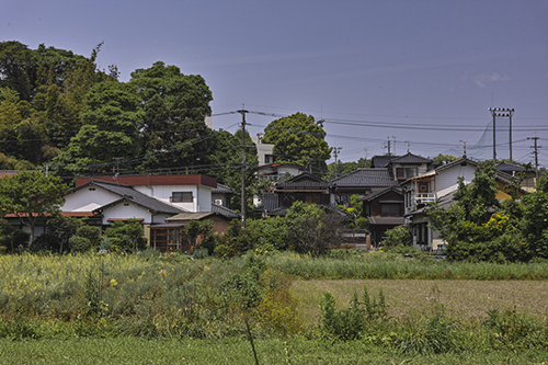 a0096313_1632254.jpg