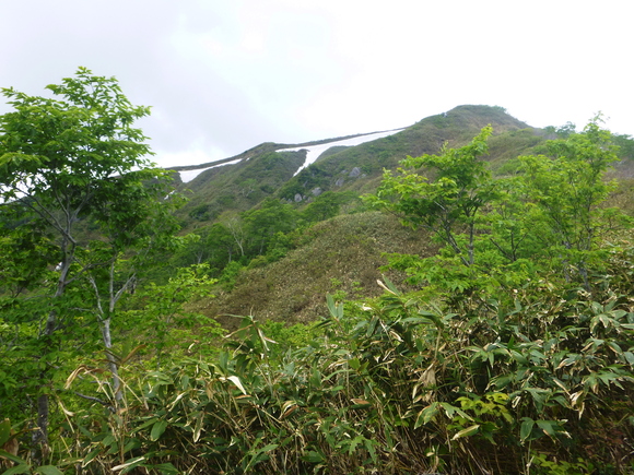 d0170615_1150182.jpg