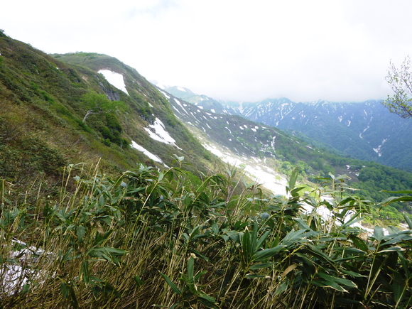 d0170615_11503324.jpg