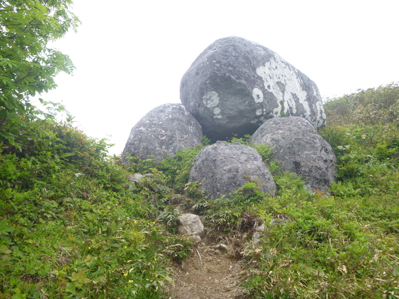 d0170615_11504938.jpg