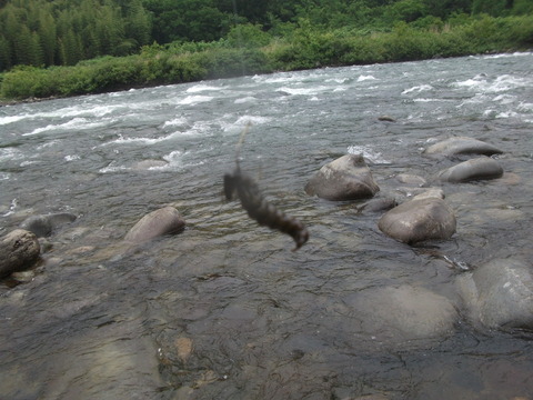 a0279321_136178.jpg