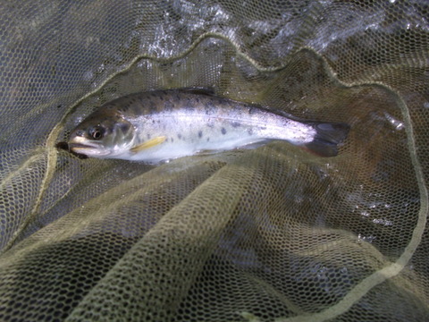 a0279321_1421036.jpg