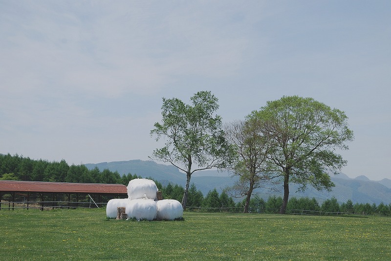 c0358326_1513731.jpg