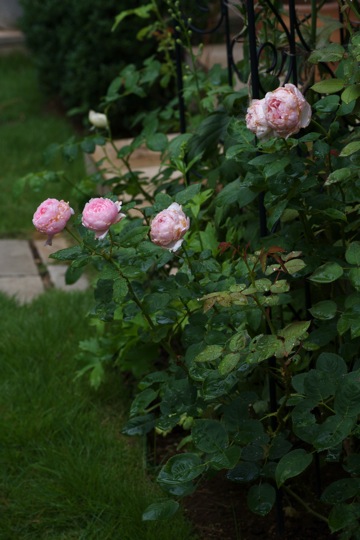 e0021328_154652.jpg