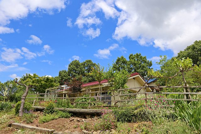 a0242438_1940369.jpg