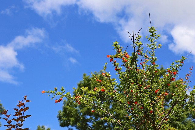 a0242438_19414340.jpg