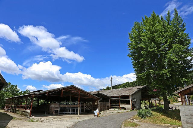 a0242438_19431166.jpg