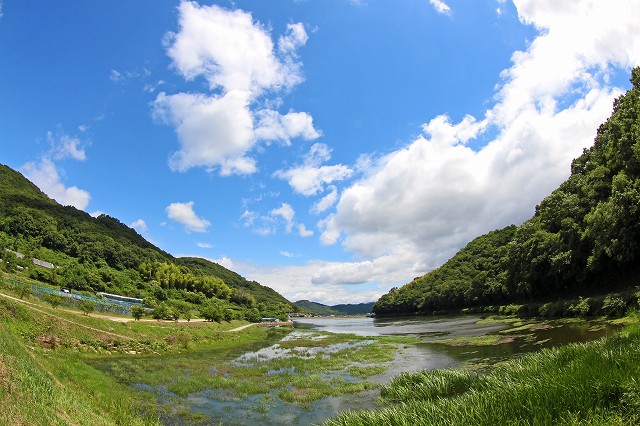 a0242438_19433388.jpg