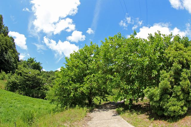 a0242438_1943525.jpg