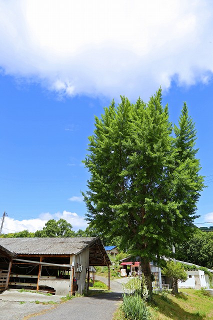 a0242438_1943575.jpg