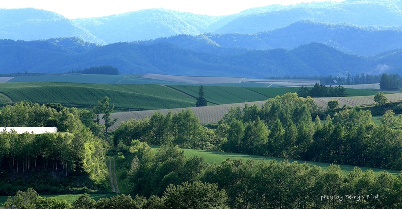 e0173743_23194609.jpg