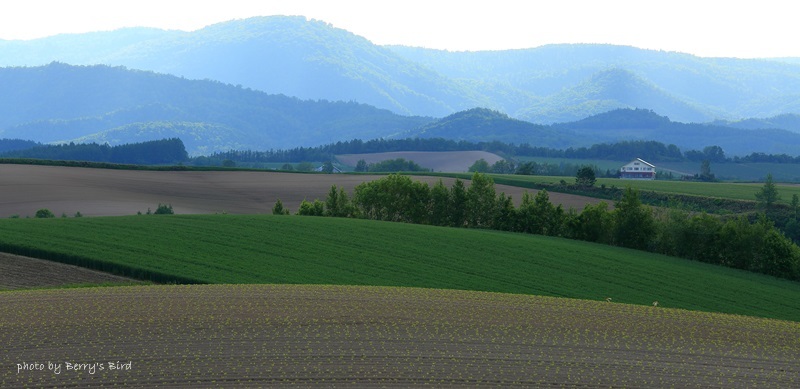 e0173743_23220532.jpg