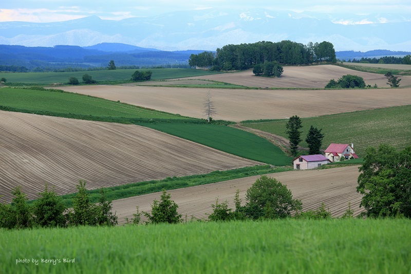 e0173743_23370893.jpg