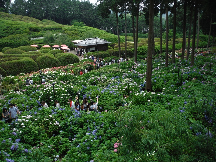 a0237349_13422755.jpg