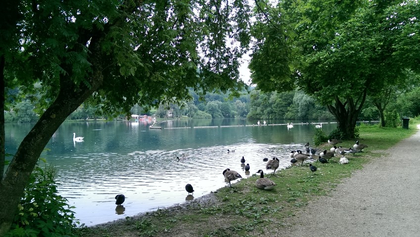 d0116376_80583.jpg