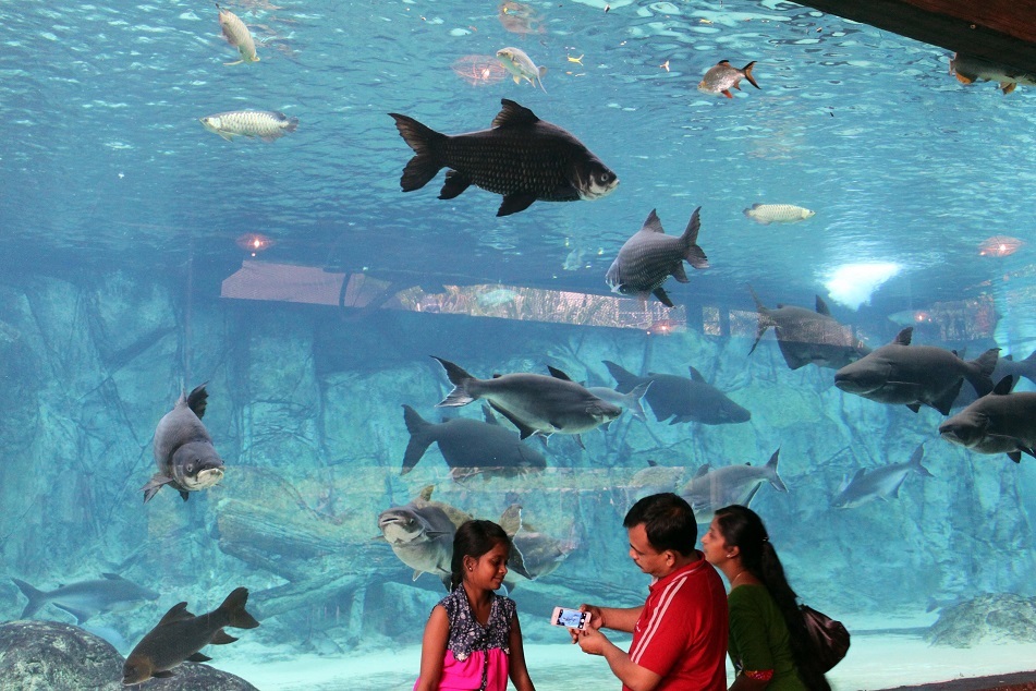 f0328897_15044139.jpg