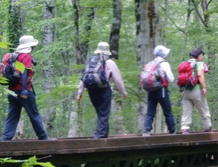 c0151898_17383847.jpg