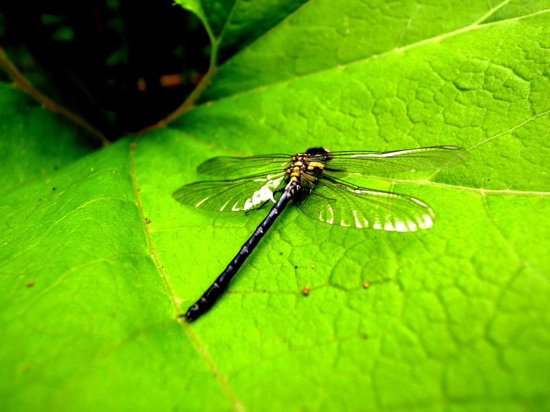 d0156298_0224325.jpg