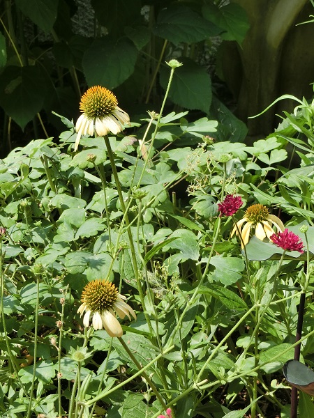 e0234004_2149957.jpg