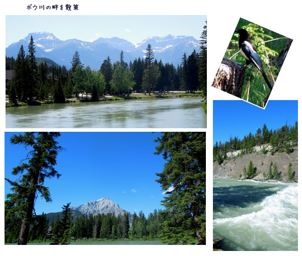 c0051105_1038350.jpg