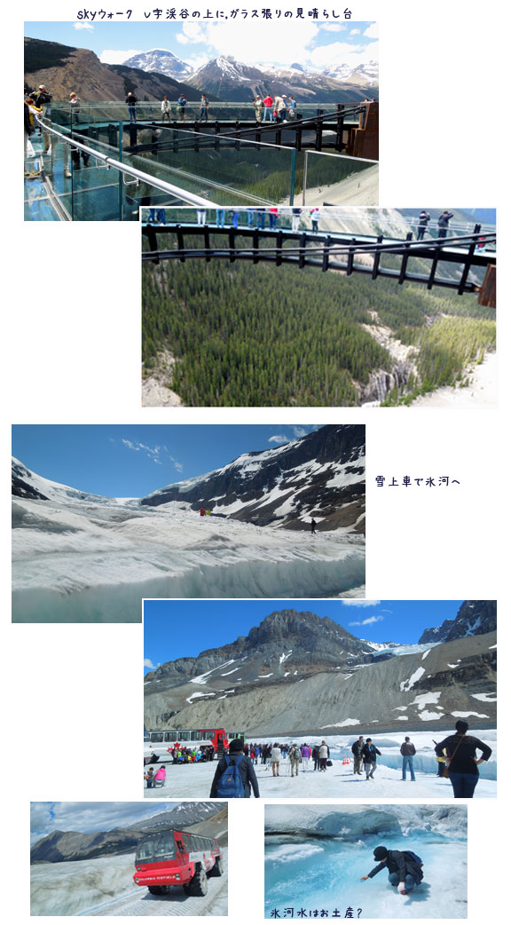 c0051105_1350939.jpg