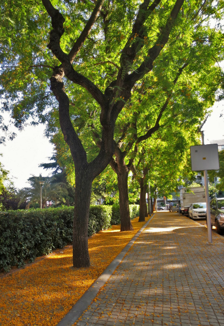 b0064411_00281316.jpg