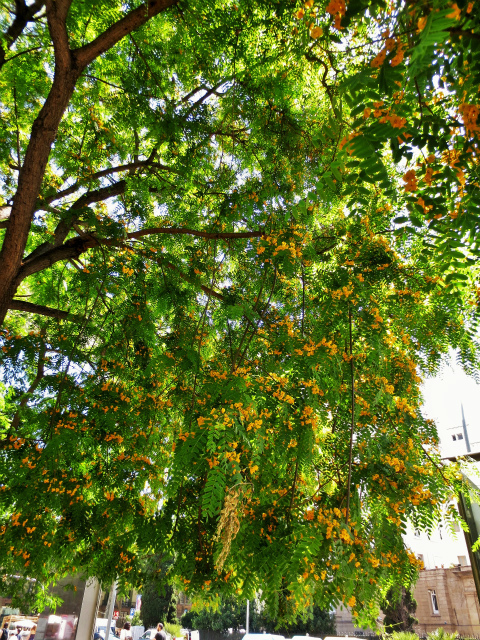 b0064411_00281355.jpg