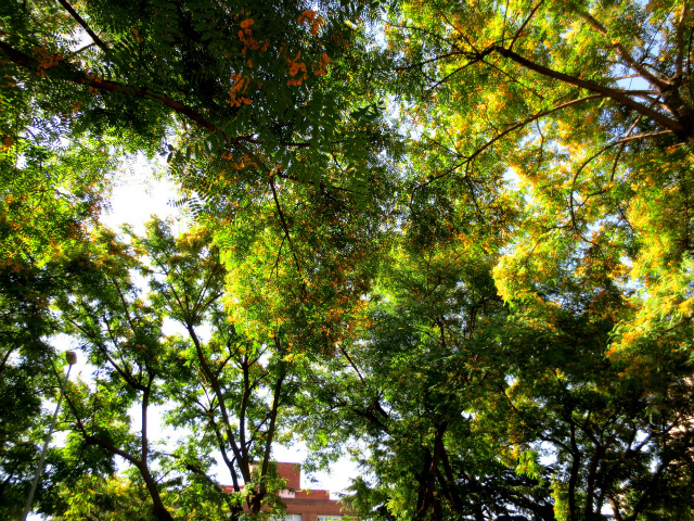 b0064411_00330824.jpg
