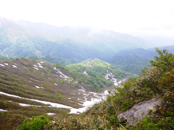 d0170615_1049563.jpg