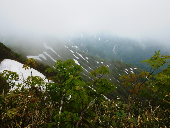 d0170615_10501419.jpg