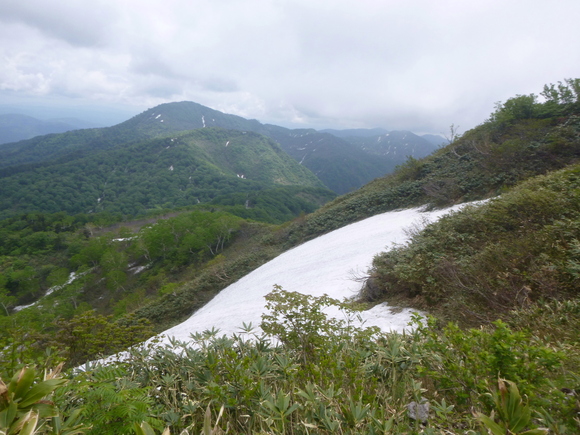 d0170615_1050267.jpg