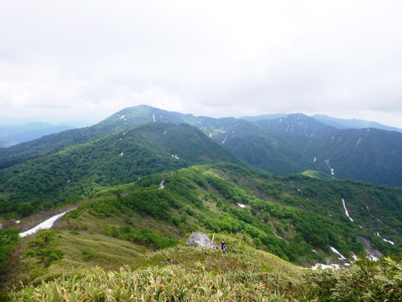 d0170615_10503556.jpg