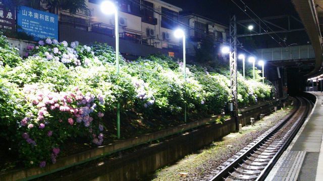 c0317717_22185471.jpg