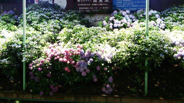 c0317717_22185666.jpg